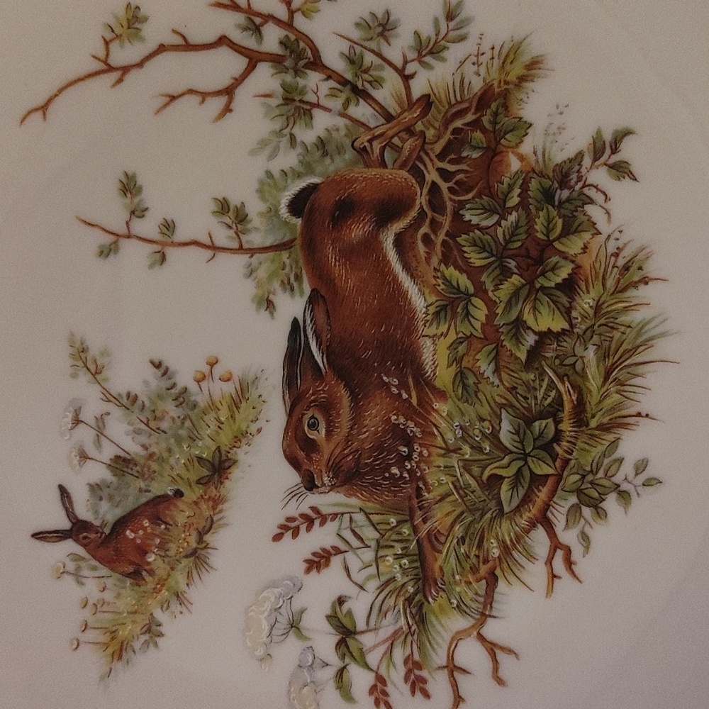 6 Bareuther Waldsassen Wildlife Transferware Porcelain Luncheon Plates - Picture 11 of 17